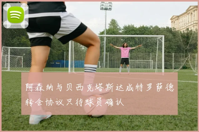 阿森纳与贝西克塔斯达成特罗萨德转会协议只待球员确认
