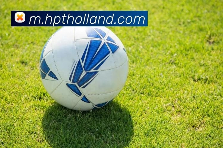登录器